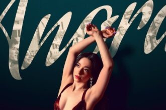 Как "Анора" неожиданно стала фаворитом премии "Оскар" в этом году смотреть онлайн